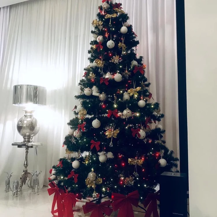 Oana Zăvoranu are trei brazi acasă