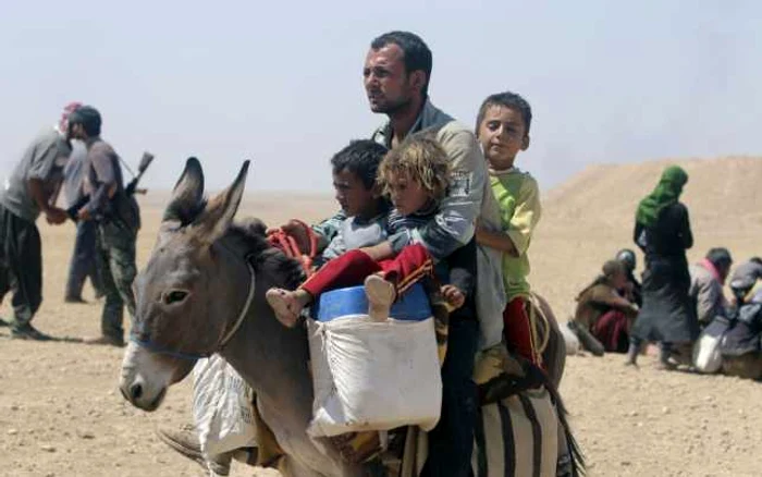 Refugiaţii yazidi fug din oraşul Sinjar