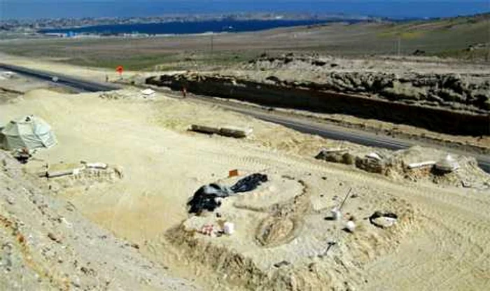 Scheletele a 75 de balene au fost descoperite în deşertul Atacama din Chile