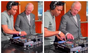 BeFunky collage 2026 03 16T211622 037 jpg