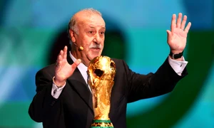 del bosque vincente gettyimages 453960483 jpeg