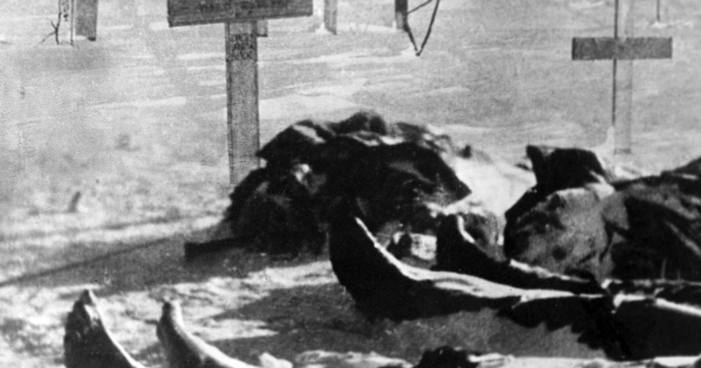 Soldaţi români căzuţi la Stalingrad