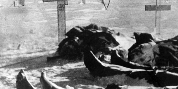 Eroi români pe Frontul de la Stalingrad