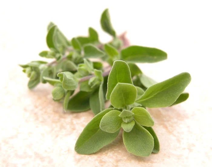 Maghiranul poate fi găsit sub diverse forme în comerţ. (Foto: Shutterstock)