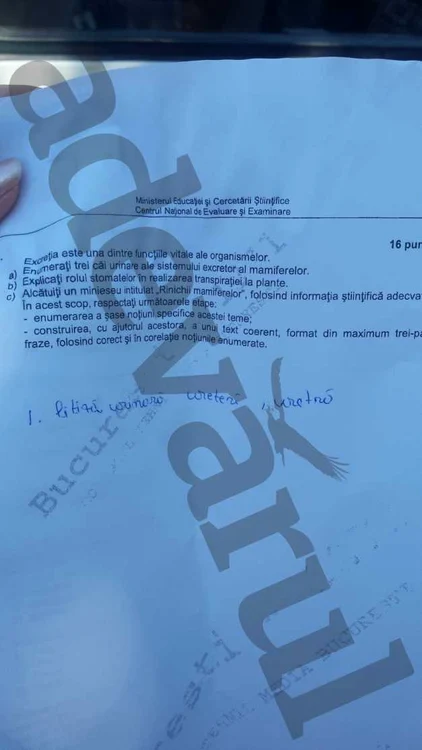 subiecte bac 2015 biologie 