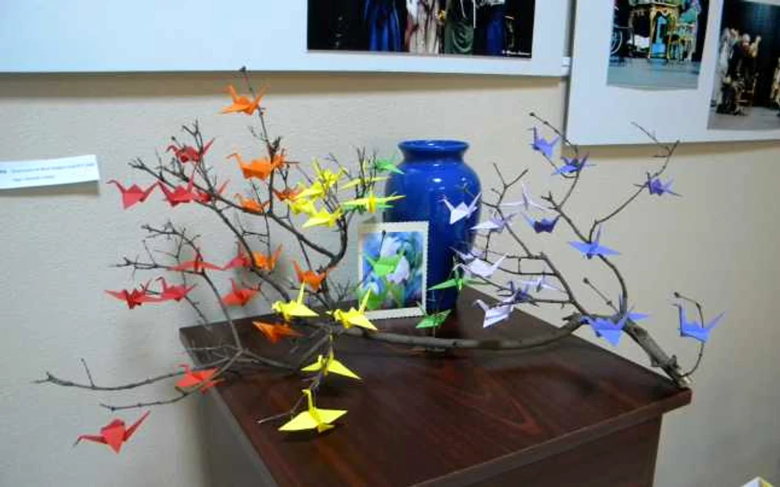 origami ploiesti foto dana mihai