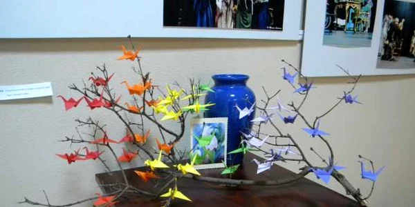 origami ploiesti foto dana mihai