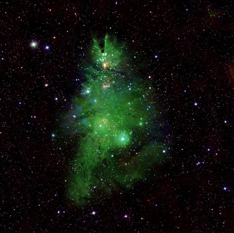 Roiul stelar NGC 2264, care arată precum un brad de Crăciun