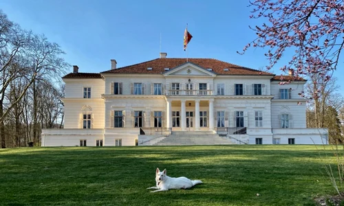 1 parcul regal savarsin principesa sofia florii 2020 15 jpg jpeg