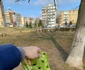 Asociație Arad 2 jpg