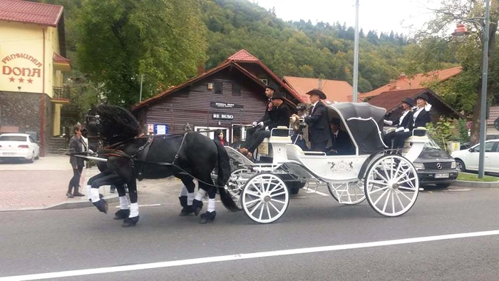 5 caleasca 3 jpg jpeg