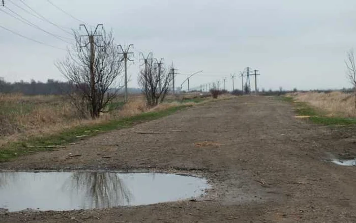 Drumul Naţional 2NMărtineşti-Bogza  FOTO: Ştefan Borcea