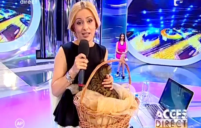 
    Simona Gherghe era foarte fericită cu pisica în braţe. (captură Antena 1)  