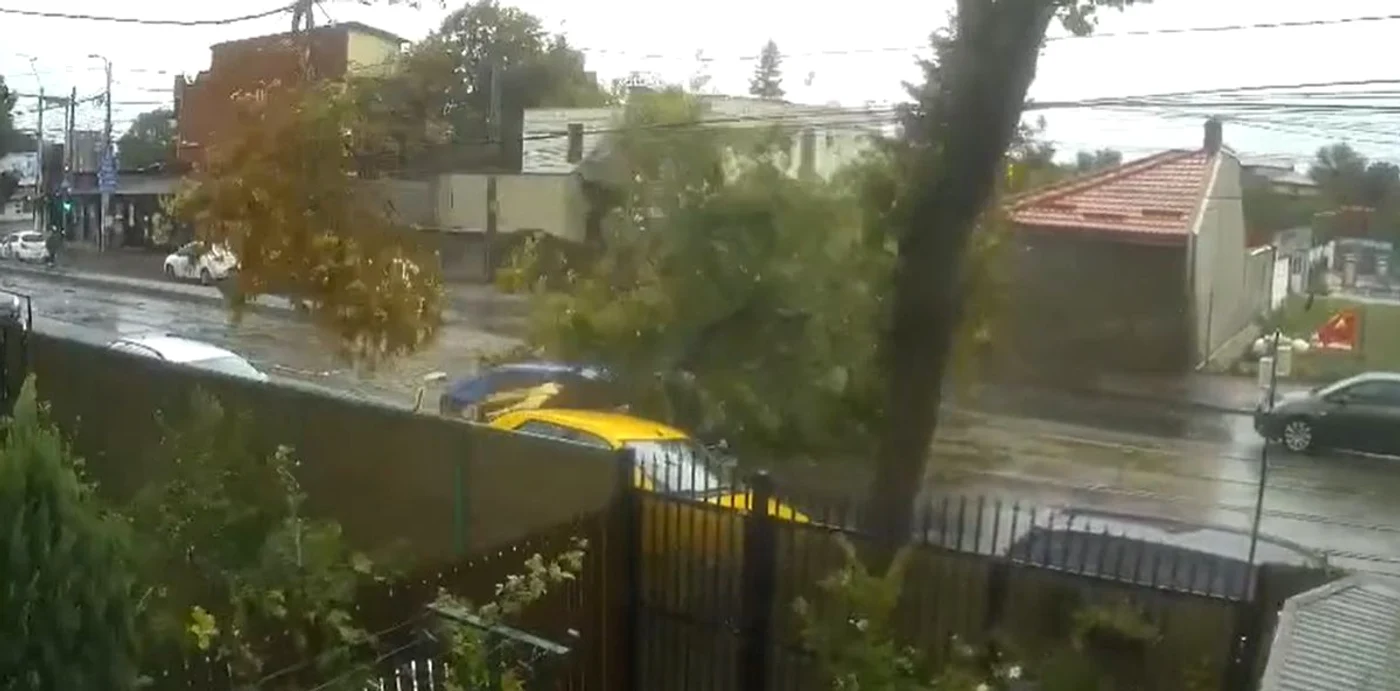 Un copac a căzut peste o mașină în mers, în Capitală / foto: captura video