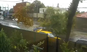 Clipboard 10 03 2025 01 jpg