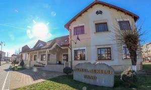 muzeul aurului brad foto lucian ignat