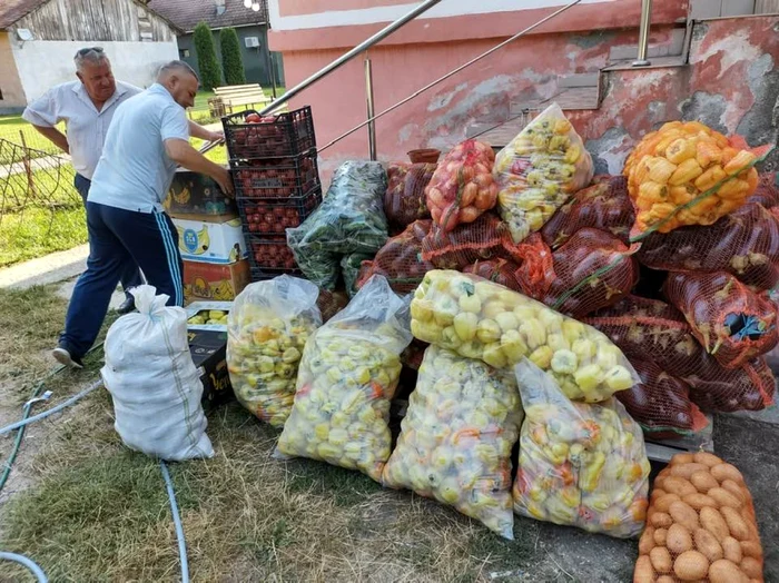 Fermierii din Grădinari au strâns tone de legume FOTO: Facebook/Ion Păunel