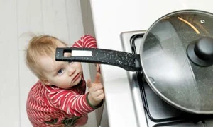 12 13 6  1col shutterstock 1043765656 jpeg