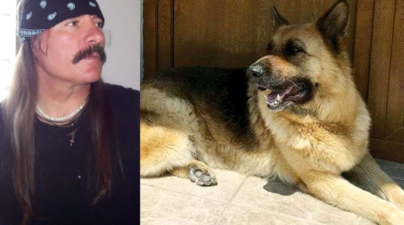 Slash păzește cu strășnicie casa din Buftea