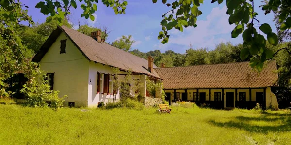 Casa Memorială George Stephănescu