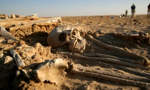 beautiful woman side jpg