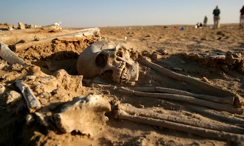 beautiful woman side jpg