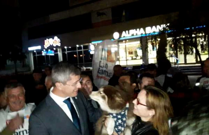 Dan Barna „s-a lipit“ la Slatina de câinele unui membru de partid FOTO: Alina Mitran