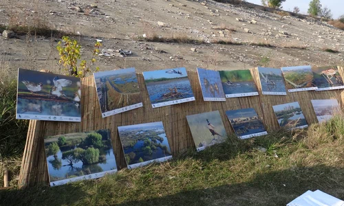 Avem un fel de „deltă“ Cum procedăm? jpeg