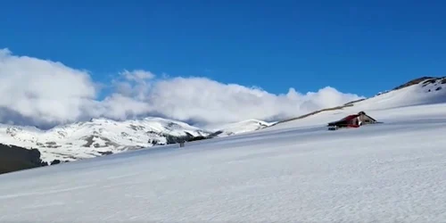 BUCEGI; FOTO Romsilva jpg