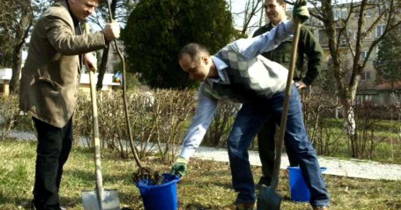 Şefii Poliţiei au ieşit la plantat în curtea Inspectoratului.