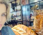 Oana Mareș se ocupă de brutăria ei din București 