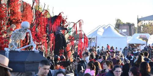 Eveniment Sectorul 6 FOTO FB Ciprian Ciucu jpg