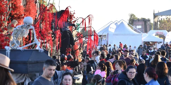 Eveniment Sectorul 6 FOTO FB Ciprian Ciucu jpg