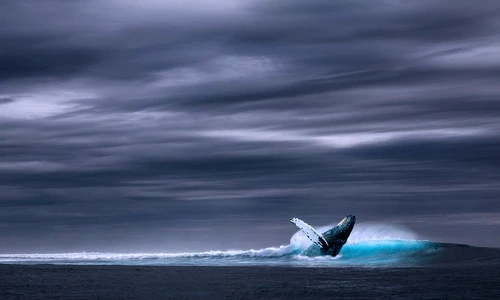 1 76695 original jpg jpeg