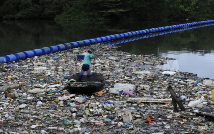 
    Sportivii sunt în pericol să se îmbolnăvească la Olimpiada  