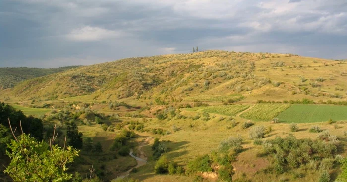 budureasca foto bogdan ciuperca