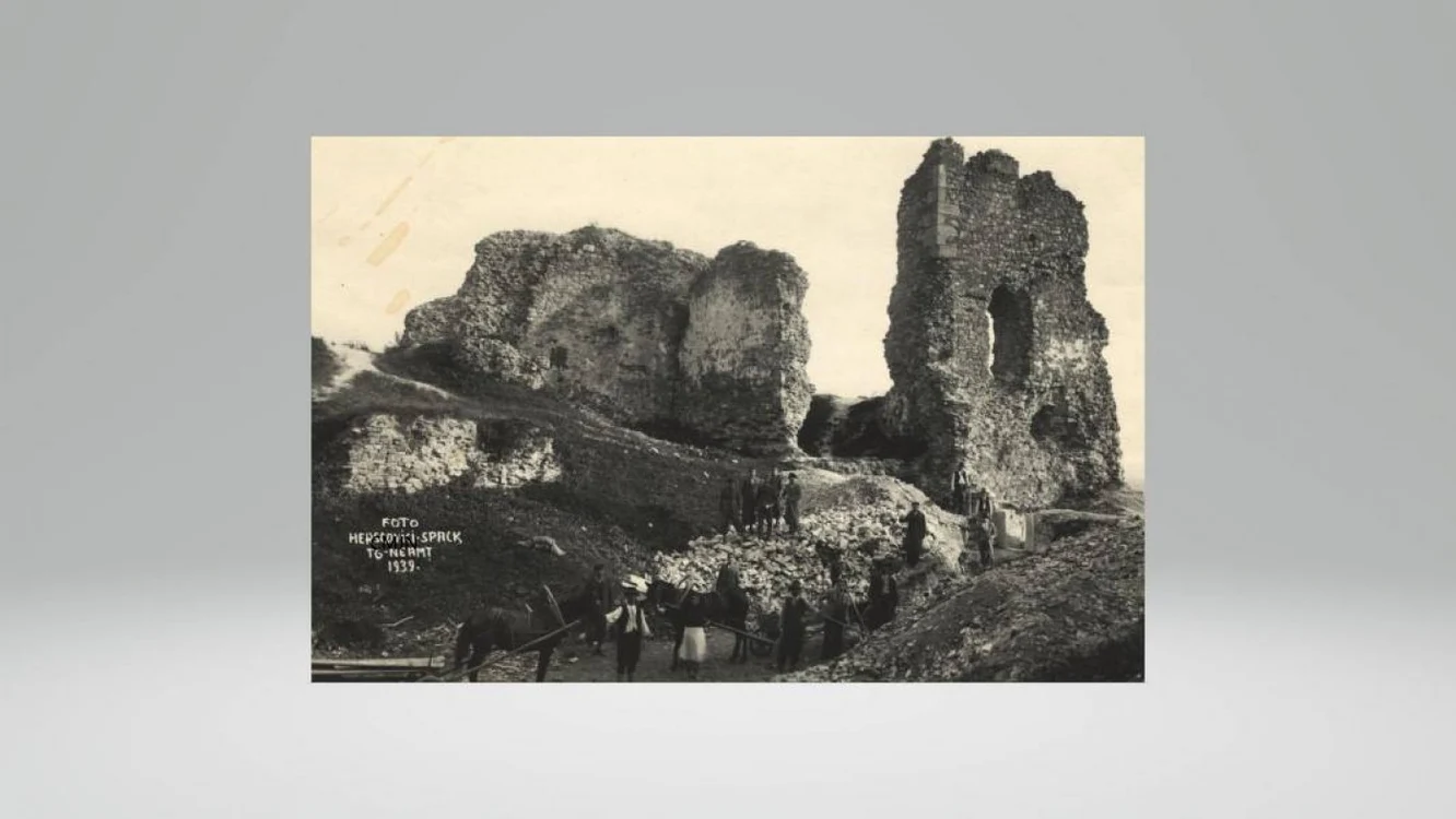 fortneamt5