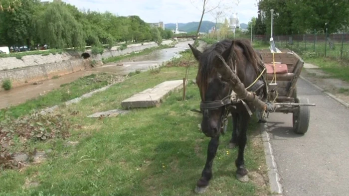 Cei doi au încercat să sustragă fierul din plăcile de beton Foto: Adevărul