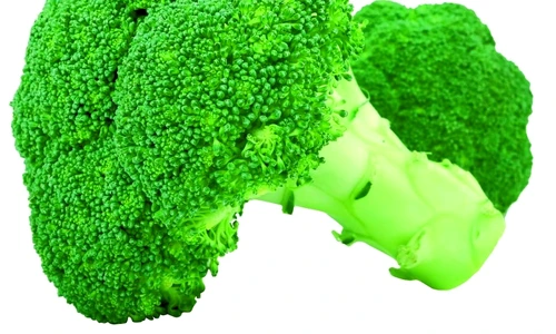 1 47313 original jpg jpeg