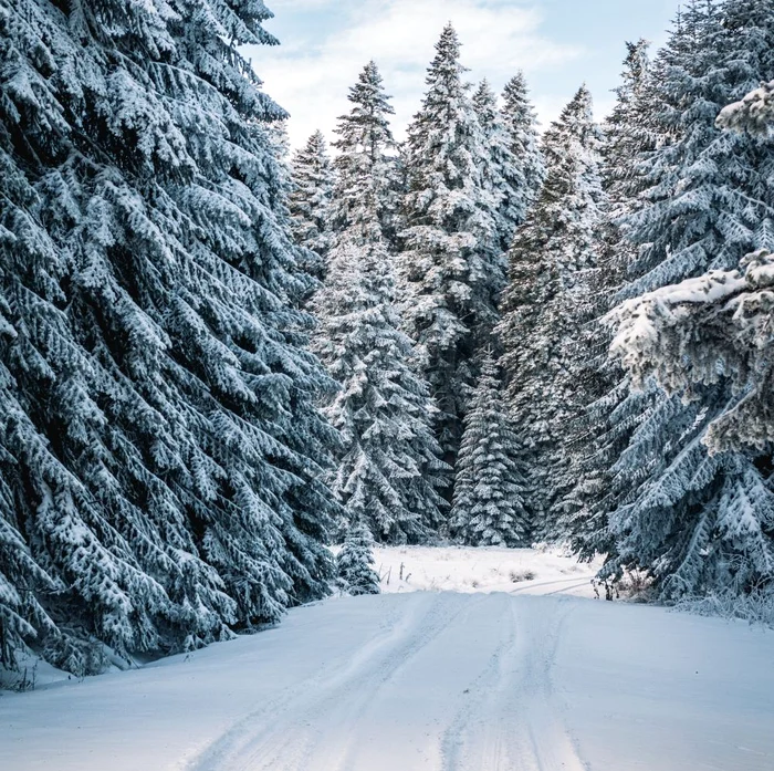 Va ninge abundent la munte până mâine searăSursa foto: ANM