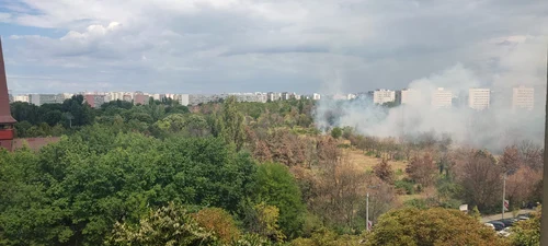 297083527 10228001011880652 7200298331561324743 n jpg