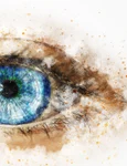 ochi eye g99a89cea9 1280 jpg