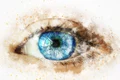ochi   eye g99a89cea9 1280 jpg