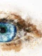 ochi   eye g99a89cea9 1280 jpg