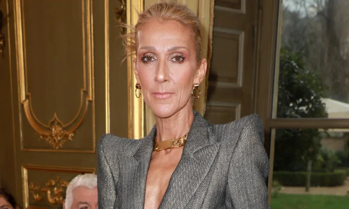 1 celine dion main2 png png