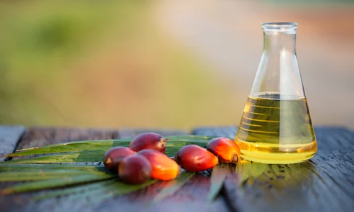 1 ulei palmier jpg jpeg