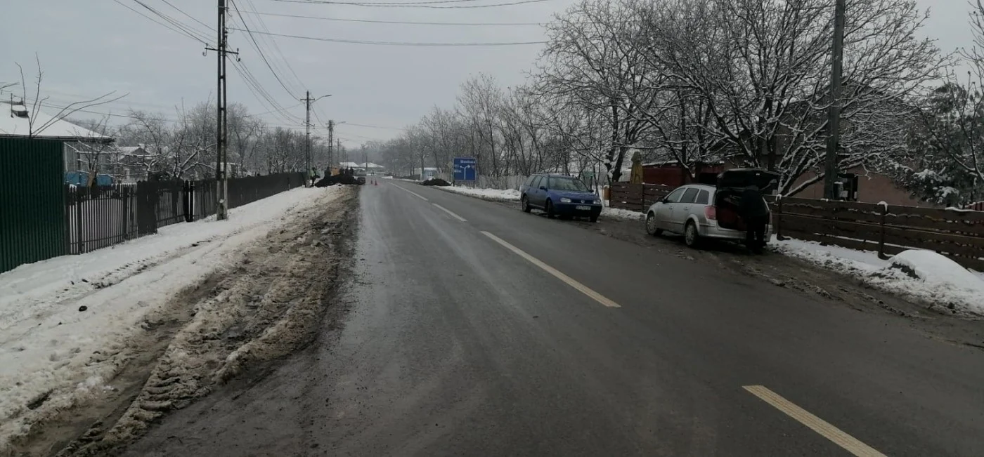 În comuna Avrămeni sunt doar patru şomeri FOTO Cosmin Zamfirache