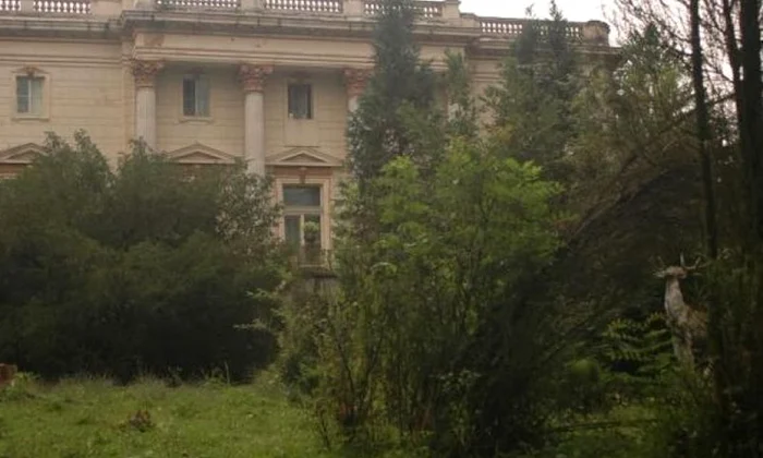 Destinul castelelor din Vest: vechile reşedinţe nobiliare au fost retrocedate, vândute şi lăsate în paragină jpeg