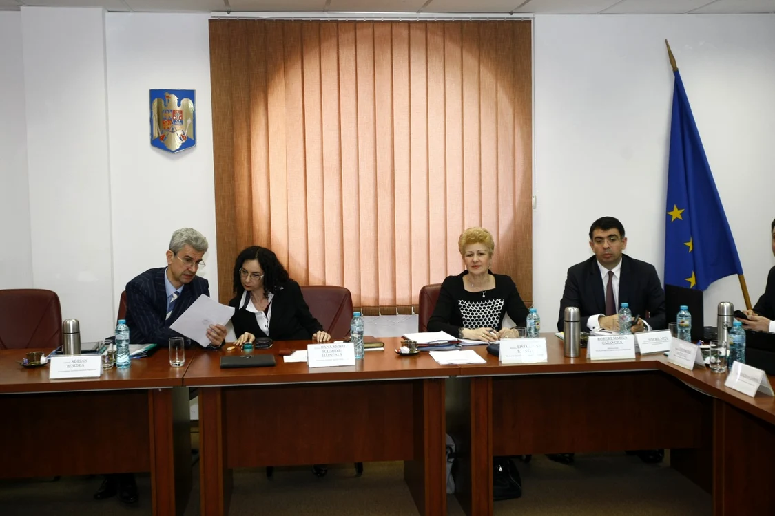 Actualul preşedinte CSM, Adrian Bordea, alături de fostul şef Oana Schmidt Hăineală FOTO Eduard Enea