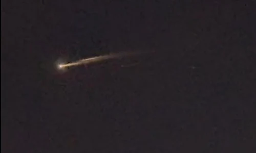 minge foc timisoara jpeg